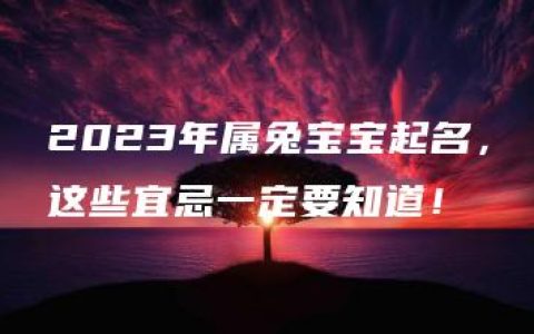 2023年属兔宝宝起名，这些宜忌一定要知道！