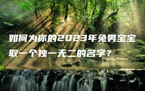 如何为你的2023年兔男宝宝取一个独一无二的名字？