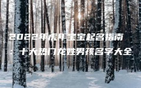 2022年虎年宝宝起名指南：十大热门龙姓男孩名字大全