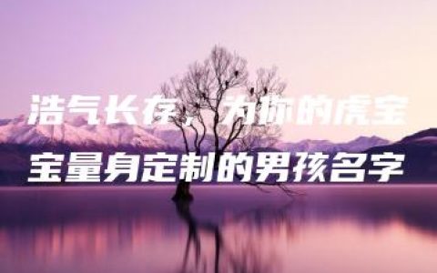 浩气长存，为你的虎宝宝量身定制的男孩名字