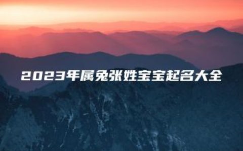 2023年属兔张姓宝宝起名大全