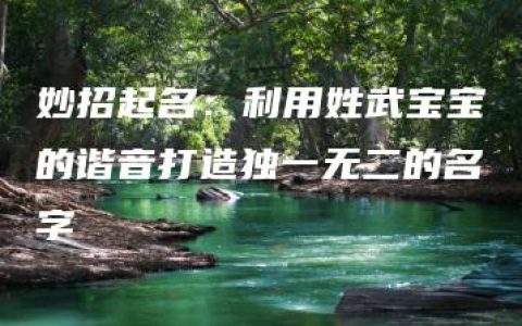 妙招起名：利用姓武宝宝的谐音打造独一无二的名字