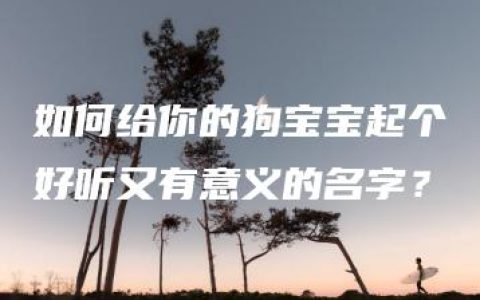 如何给你的狗宝宝起个好听又有意义的名字？