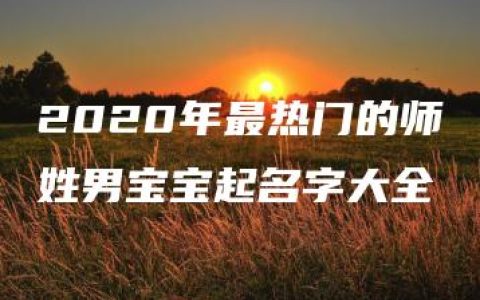 2020年最热门的师姓男宝宝起名字大全