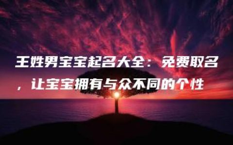 王姓男宝宝起名大全：免费取名，让宝宝拥有与众不同的个性