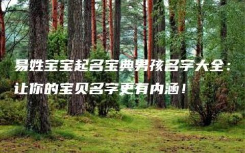 易姓宝宝起名宝典男孩名字大全：让你的宝贝名字更有内涵！