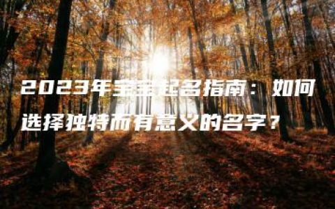 2023年宝宝起名指南：如何选择独特而有意义的名字？