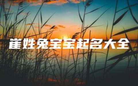 崔姓兔宝宝起名大全