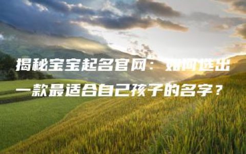 揭秘宝宝起名官网：如何选出一款最适合自己孩子的名字？