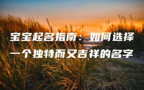 宝宝起名指南：如何选择一个独特而又吉祥的名字