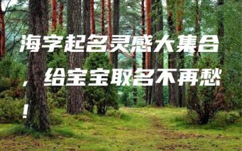 海字起名灵感大集合，给宝宝取名不再愁！