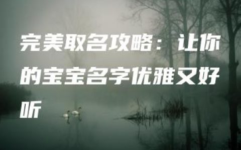 完美取名攻略：让你的宝宝名字优雅又好听