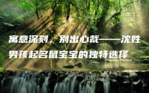 寓意深刻，别出心裁——沈姓男孩起名鼠宝宝的独特选择