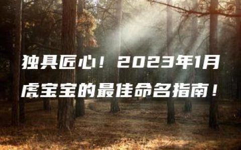 独具匠心！2023年1月虎宝宝的最佳命名指南！