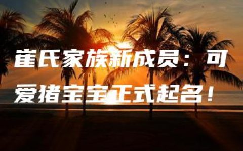 崔氏家族新成员：可爱猪宝宝正式起名！