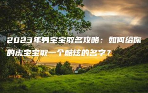 2023年男宝宝取名攻略：如何给你的虎宝宝取一个酷炫的名字？