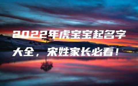 2022年虎宝宝起名字大全，宋姓家长必看！