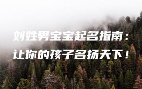 刘姓男宝宝起名指南：让你的孩子名扬天下！