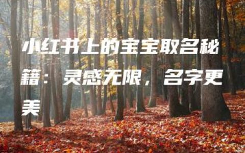 小红书上的宝宝取名秘籍：灵感无限，名字更美