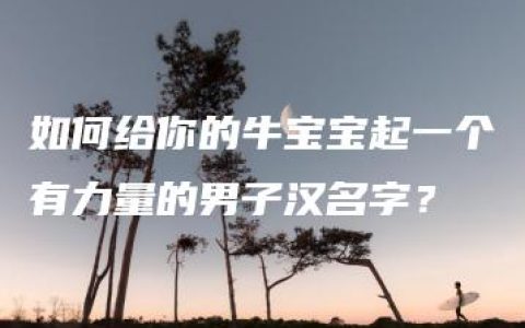 如何给你的牛宝宝起一个有力量的男子汉名字？