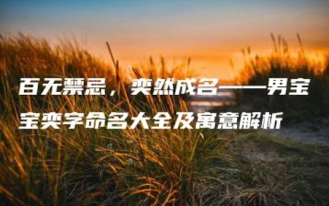 百无禁忌，奕然成名——男宝宝奕字命名大全及寓意解析