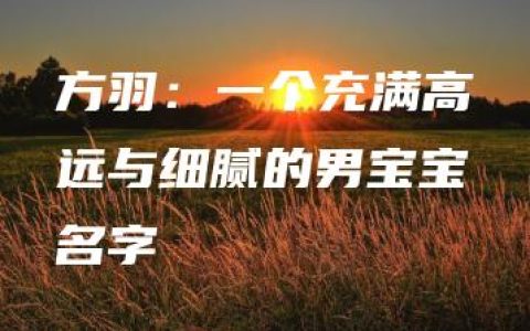 方羽：一个充满高远与细腻的男宝宝名字