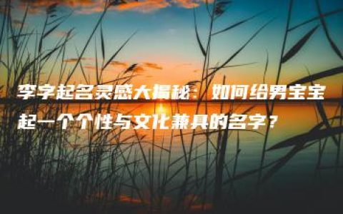 李字起名灵感大揭秘：如何给男宝宝起一个个性与文化兼具的名字？