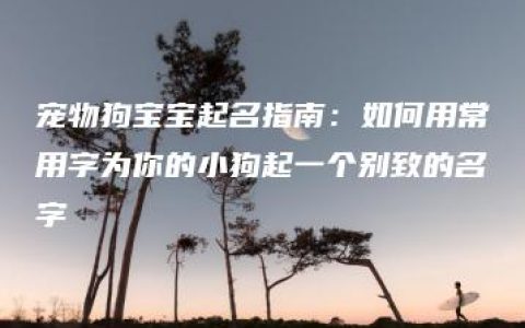 宠物狗宝宝起名指南：如何用常用字为你的小狗起一个别致的名字