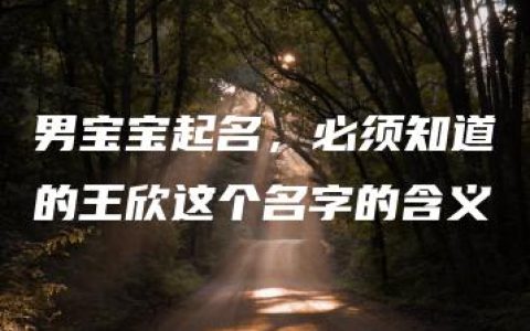 男宝宝起名，必须知道的王欣这个名字的含义