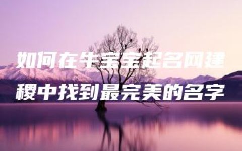 如何在牛宝宝起名网建稷中找到最完美的名字