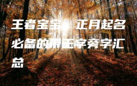 王者宝宝，正月起名必备的带王字旁字汇总