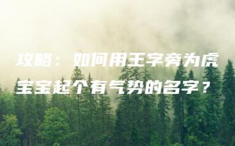 攻略：如何用王字旁为虎宝宝起个有气势的名字？