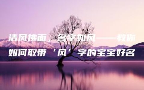 清风拂面，名字如风——教你如何取带‘风’字的宝宝好名