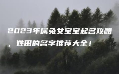 2023年属兔女宝宝起名攻略，姓田的名字推荐大全！