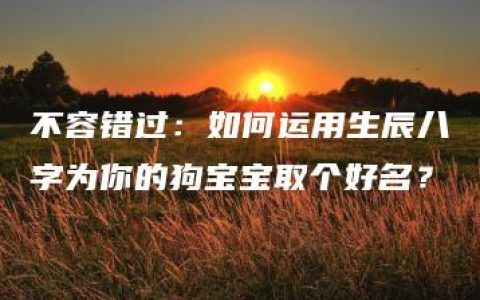 不容错过：如何运用生辰八字为你的狗宝宝取个好名？