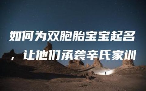 如何为双胞胎宝宝起名，让他们承袭辛氏家训