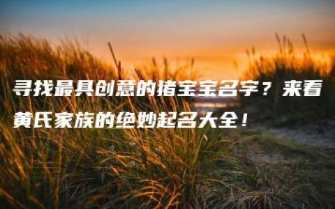 寻找最具创意的猪宝宝名字？来看黄氏家族的绝妙起名大全！