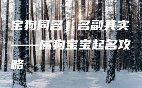 宝狗同名，名副其实——属狗宝宝起名攻略