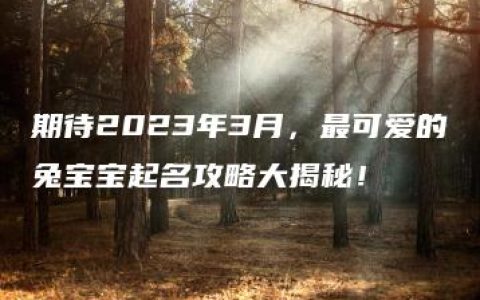 期待2023年3月，最可爱的兔宝宝起名攻略大揭秘！