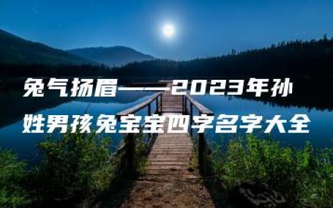 兔气扬眉——2023年孙姓男孩兔宝宝四字名字大全