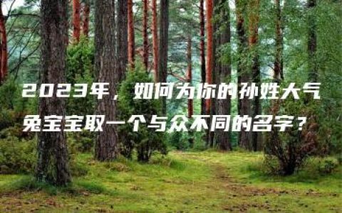 2023年，如何为你的孙姓大气兔宝宝取一个与众不同的名字？