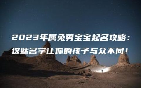 2023年属兔男宝宝起名攻略：这些名字让你的孩子与众不同！