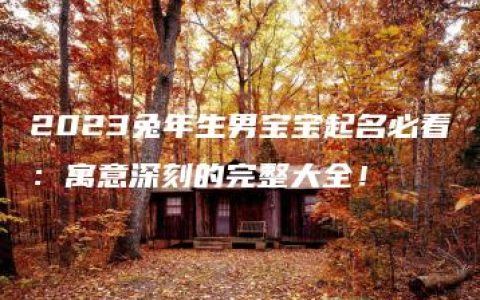 2023兔年生男宝宝起名必看：寓意深刻的完整大全！