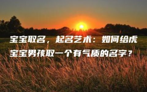 宝宝取名，起名艺术：如何给虎宝宝男孩取一个有气质的名字？