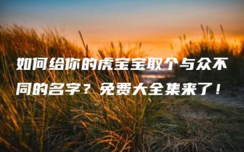 如何给你的虎宝宝取个与众不同的名字？免费大全集来了！