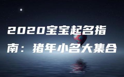 2020宝宝起名指南：猪年小名大集合