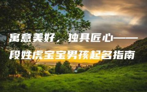 寓意美好，独具匠心——段姓虎宝宝男孩起名指南