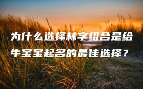 为什么选择林字组合是给牛宝宝起名的最佳选择？