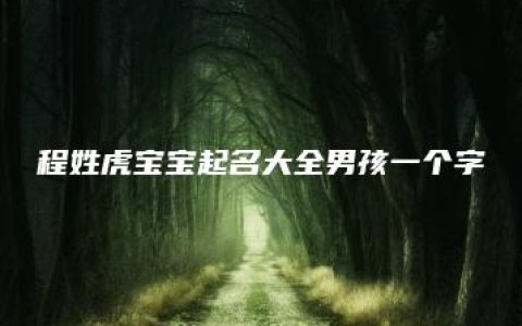 程姓虎宝宝起名大全男孩一个字