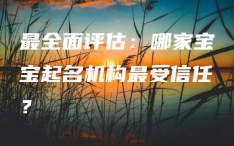 最全面评估：哪家宝宝起名机构最受信任？